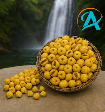 خرید و قیمت انواع انجیر خشک